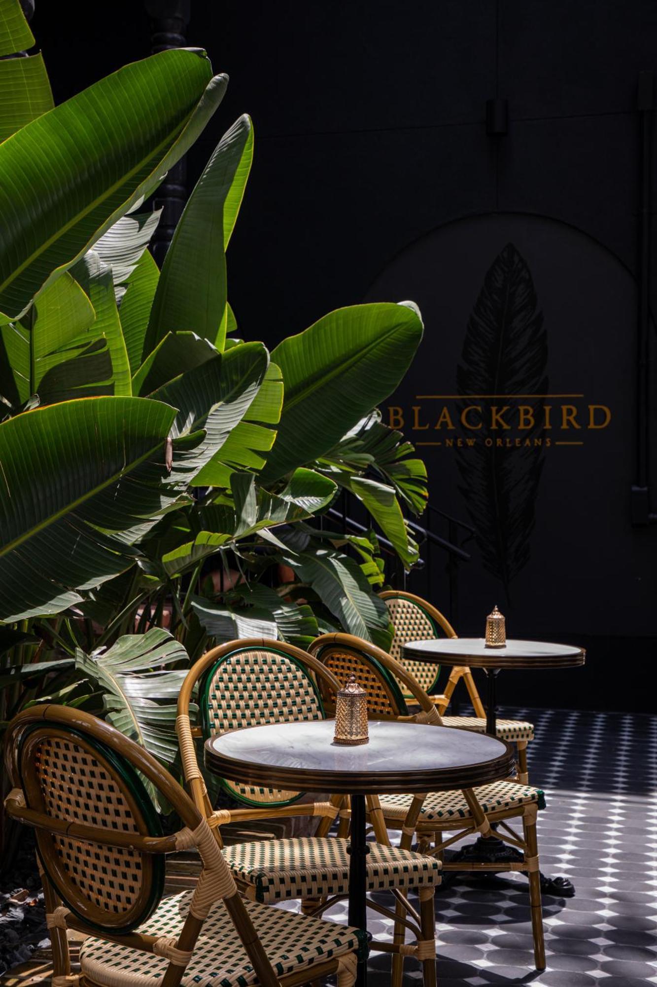 Blackbird Hotel Nueva Orleans Exterior foto