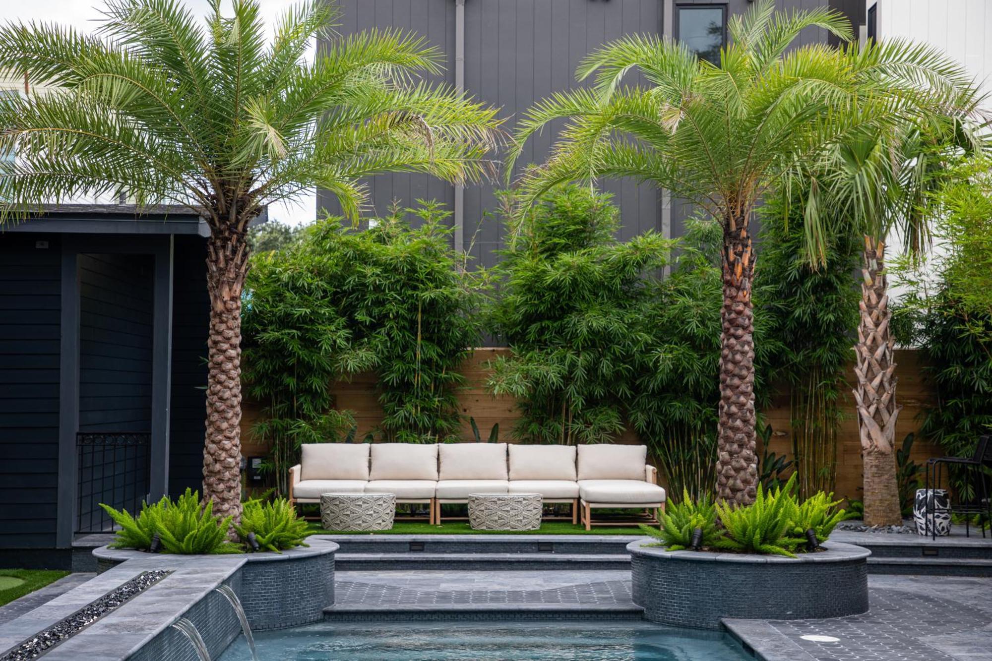 Blackbird Hotel Nueva Orleans Exterior foto